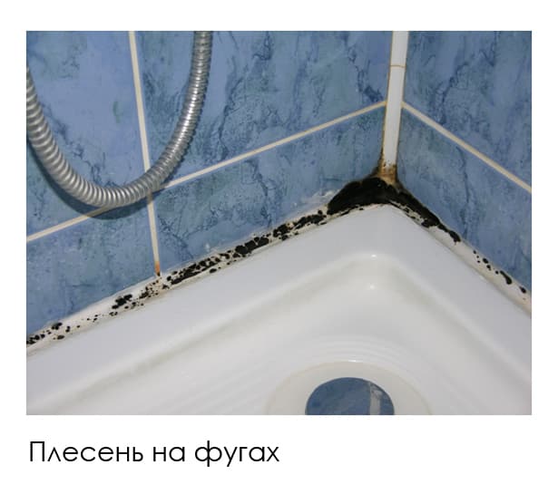 Отсутствие гидроизоляции